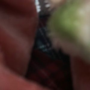 Meet your Posher, Joshua